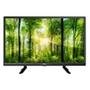 TV Philco 24 Polegadas HD, 2 HDMI, USB, LED, Conversor e Receptor Digital, Preto - PTV24G50DCH