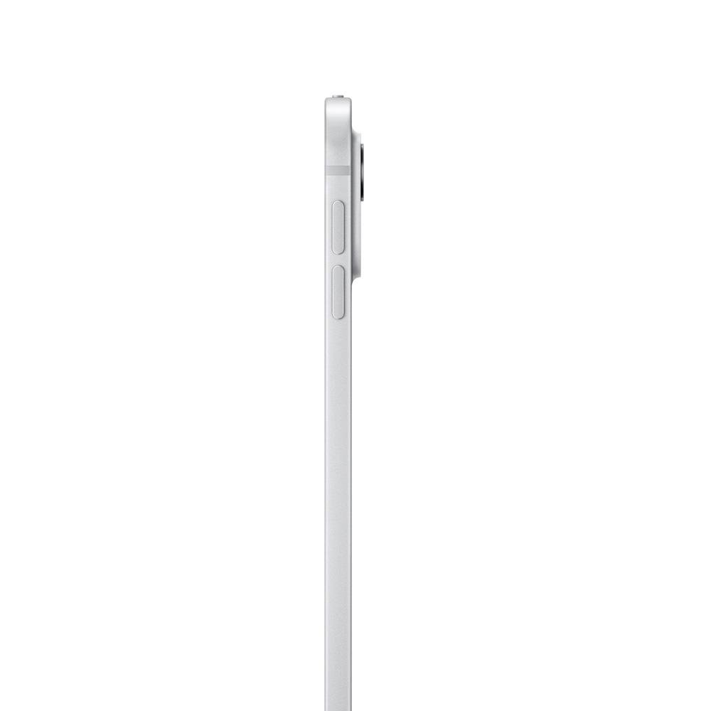 iPad Pro Apple, Tela 13