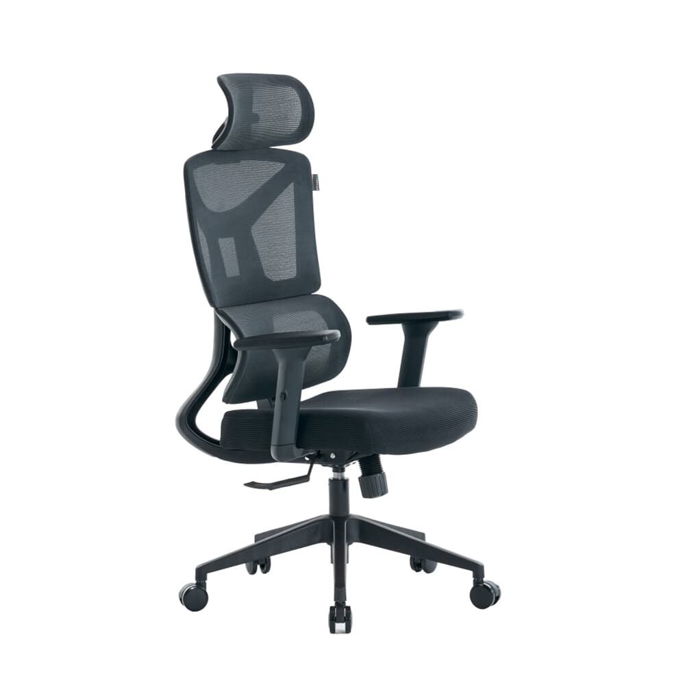 Cadeira de Escritório Ergonômica XT Office| KaBuM!