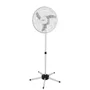 Ventilador Pedestal Oscilante 50 Cm Pp 110v Branco