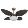 Ventilador De Teto Volare Petalo Palmae 220v